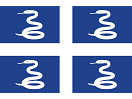 Martinique flag