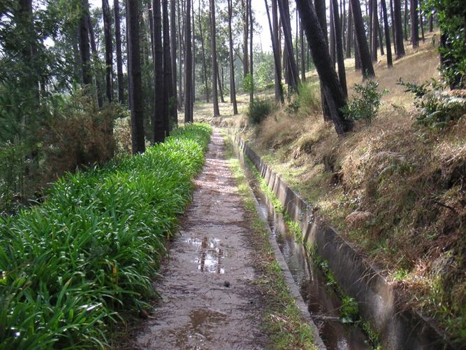 Scenic view of Madeira